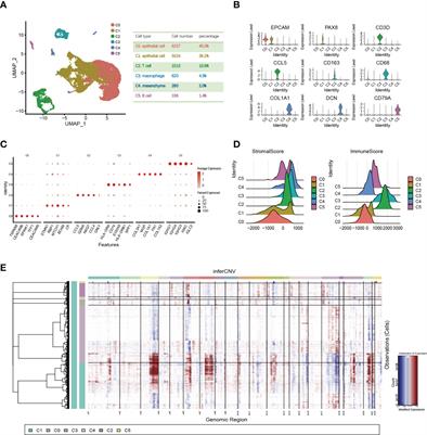 Integrating single-cell RNA sequencing and prognostic model revealed the carcinogenicity and clinical significance of FAM83D in ovarian cancer